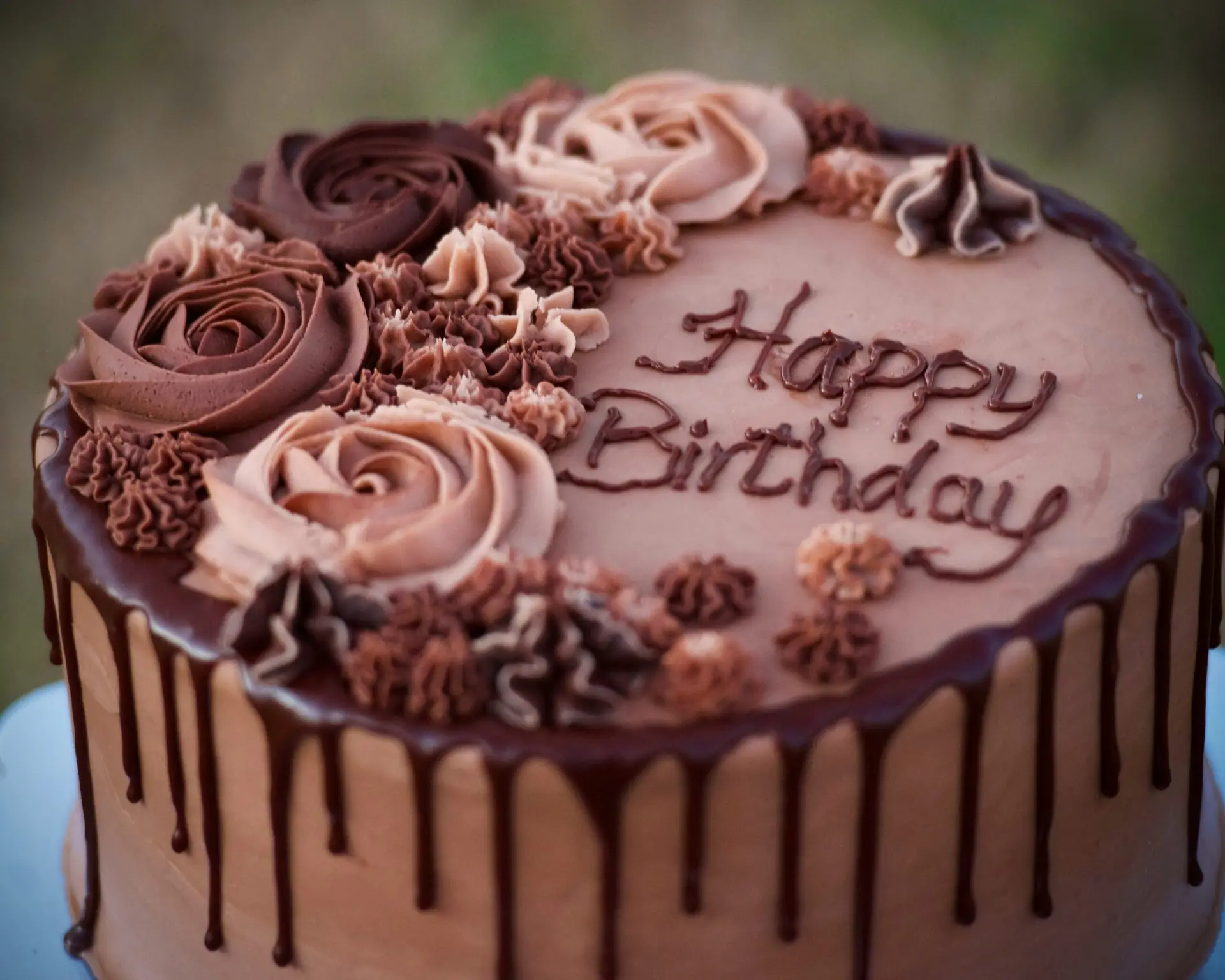 Chocolate Cake